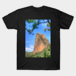 Belougery Spire in the Warrumbungles T-Shirt